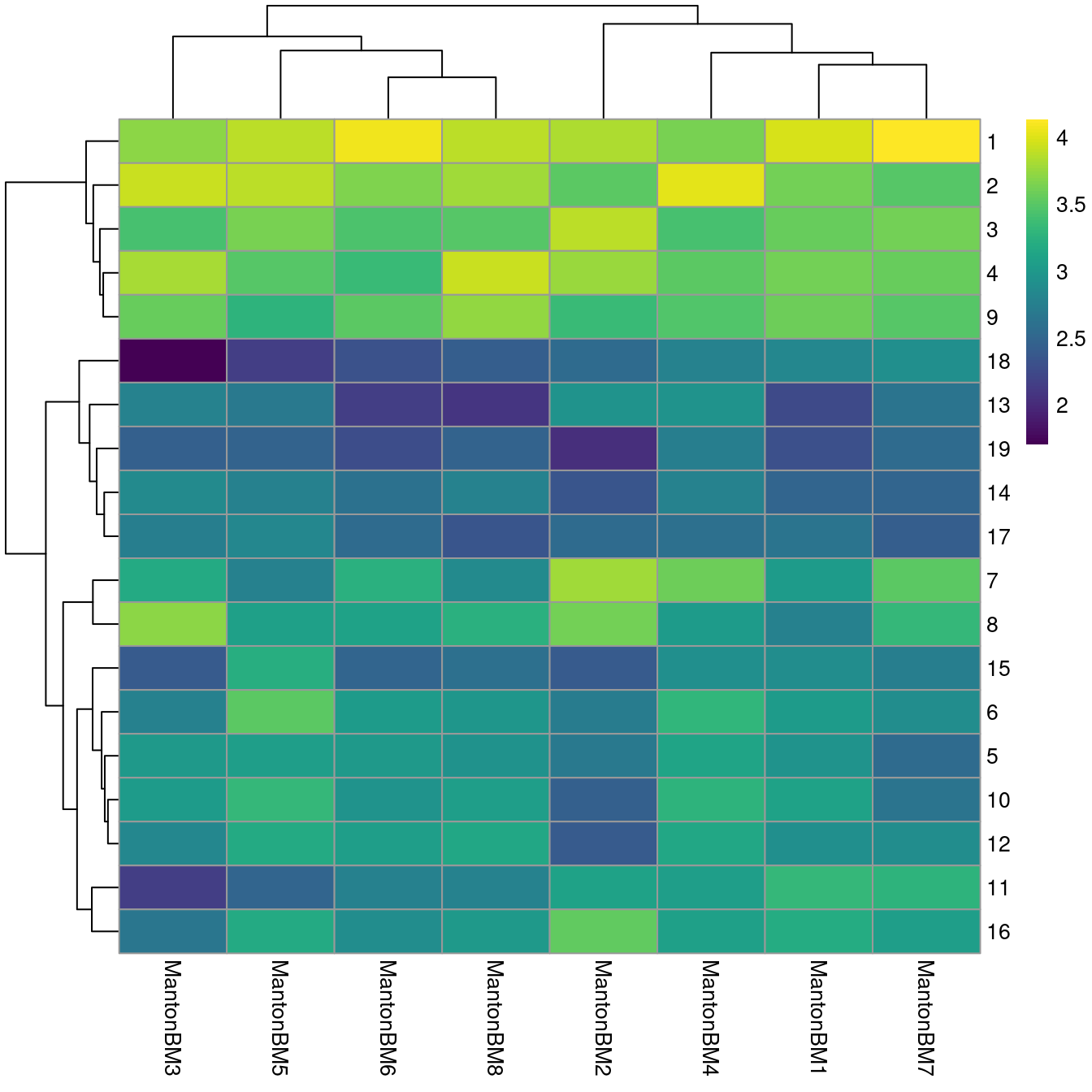 Heatmap of log~10~-number of cells in each cluster (row) from each sample (column).