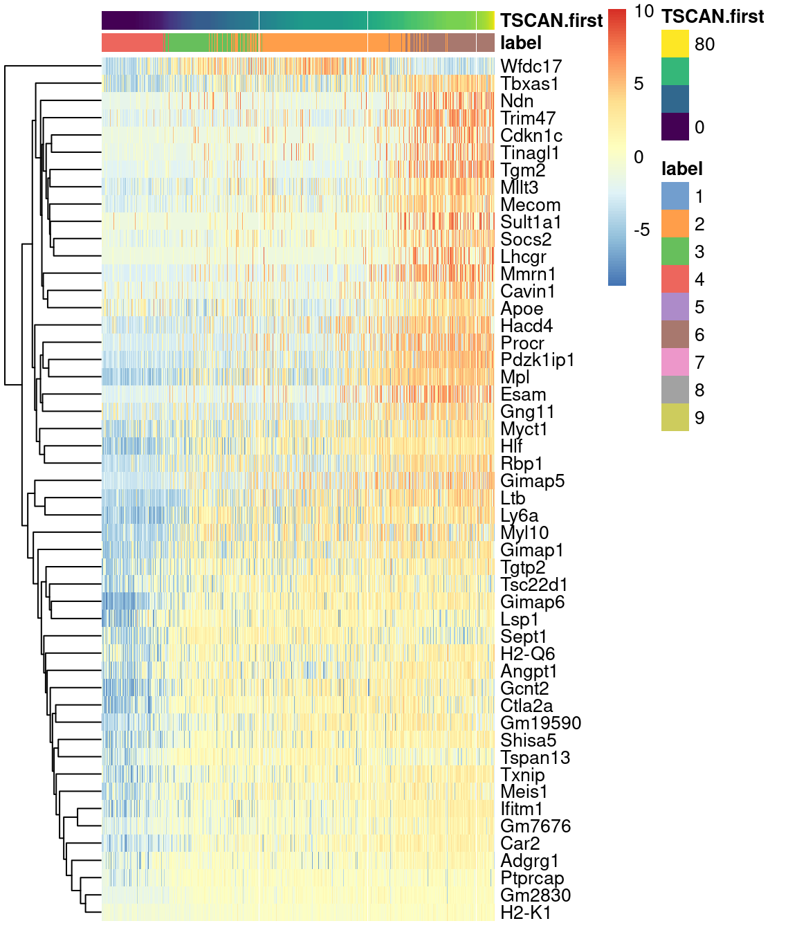 Heatmap of the expression of the top 50 genes that increase in expression with increasing pseudotime along the first path in the MST of the Nestorowa HSC dataset. Each column represents a cell that is mapped to this path and is ordered by its pseudotime value.