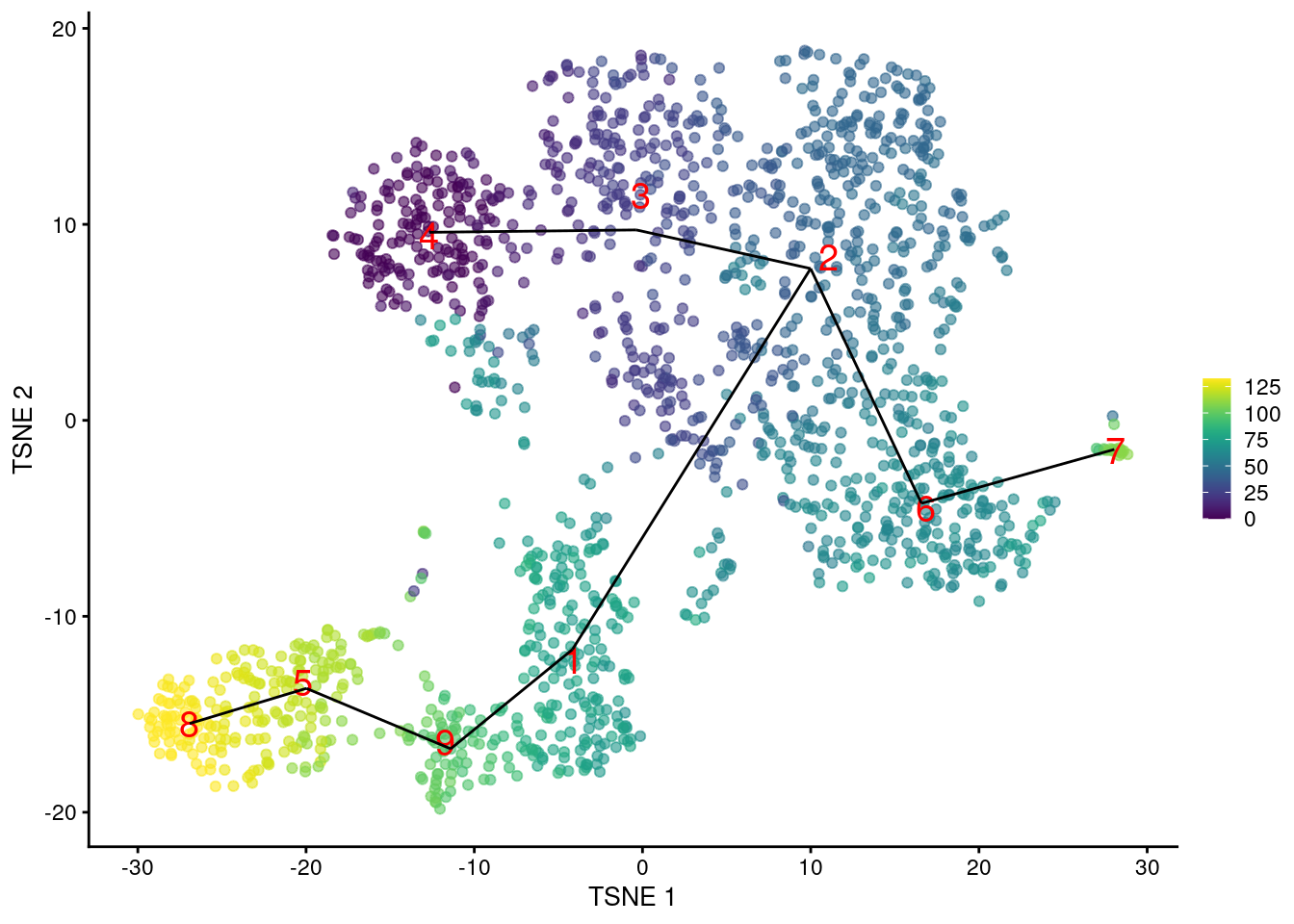 $t$-SNE plot of the Nestorowa HSC dataset, where each point is a cell and is colored according to its pseudotime value. The MST obtained using _TSCAN_ with MNN distances is overlaid on top.