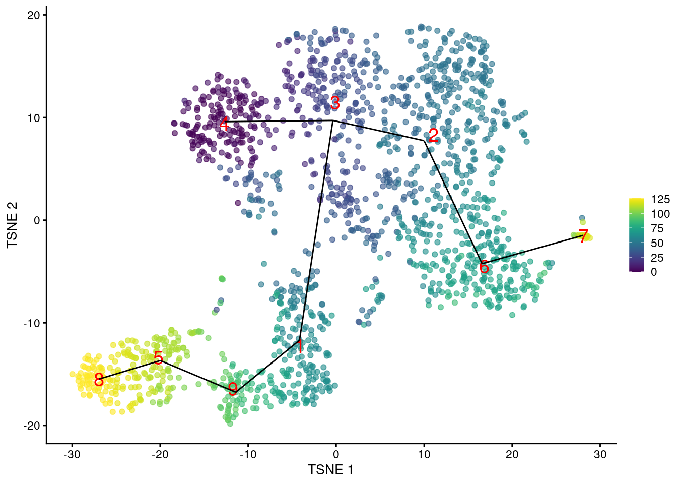 $t$-SNE plot of the Nestorowa HSC dataset, where each point is a cell and is colored according to its pseudotime value. The MST obtained using _TSCAN_ is overlaid on top.