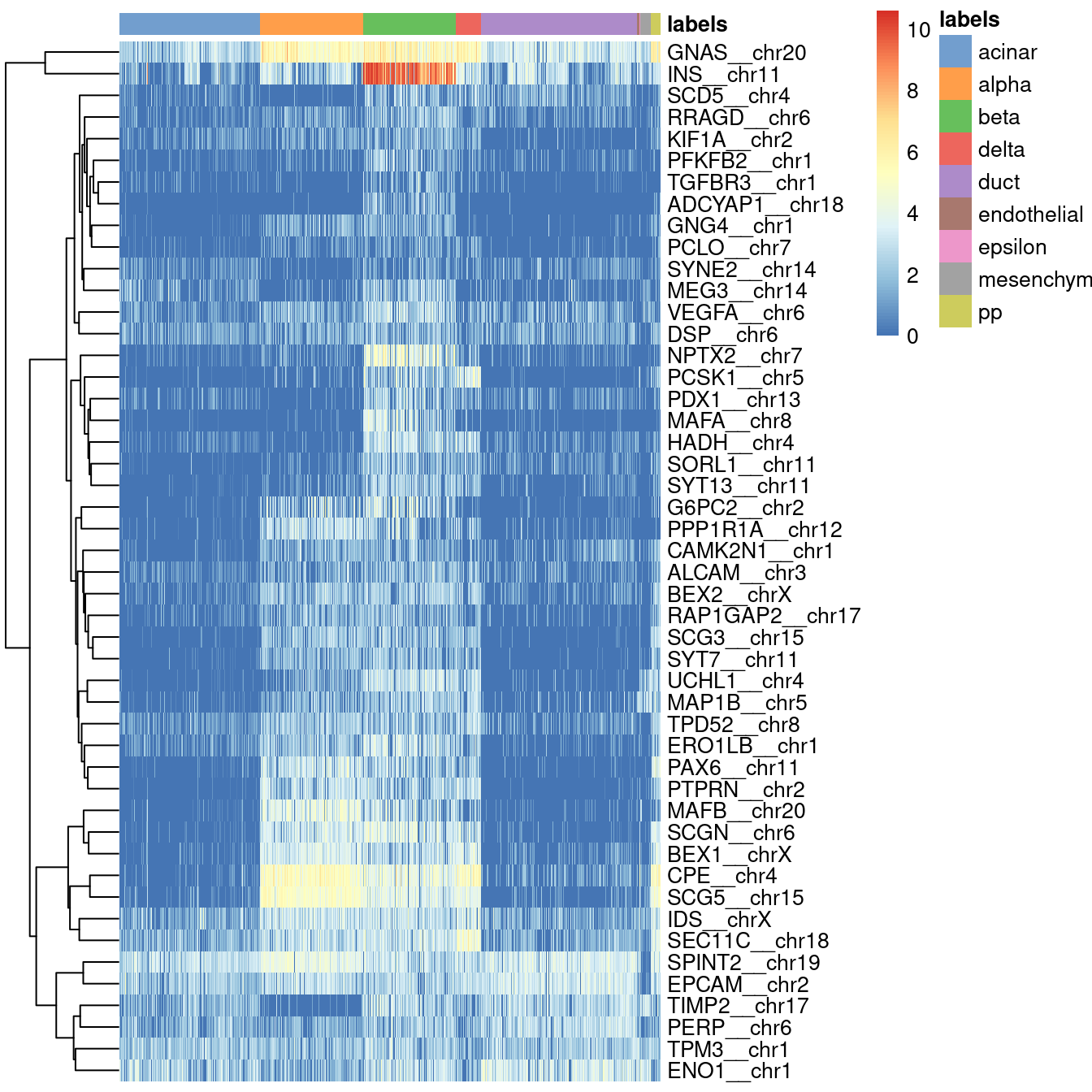 Heatmap of log-expression values in the Grun dataset for all marker genes upregulated in beta cells in the Muraro reference dataset. Assigned labels for each cell are shown at the top of the plot.