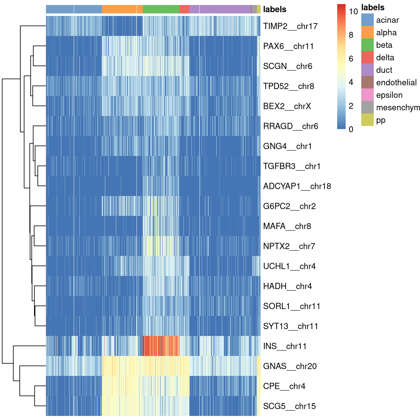 Heatmap of log-expression values in the Grun dataset for all marker genes upregulated in beta cells in the Muraro reference dataset, pruned to those that are also upregulated in the assigned cells in the Grun dataset. Assigned labels for each cell are shown at the top of the plot.