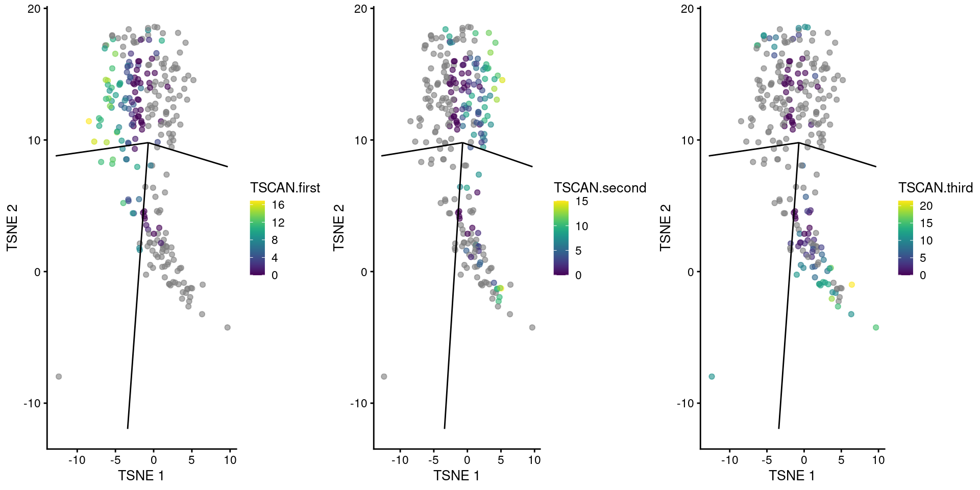 _TSCAN_-derived pseudotimes around cluster 3 in the Nestorowa HSC dataset. Each point is a cell in this cluster and is colored by its pseudotime value along the path to which it was assigned. The overlaid lines represent the relevant edges of the MST.