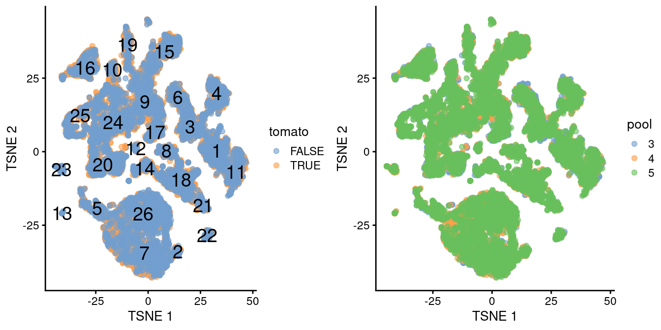 $t$-SNE plot of the WT chimeric dataset, where each point represents a cell and is colored according to td-Tomato expression (left) or batch of origin (right). Cluster numbers are superimposed based on the median coordinate of cells assigned to that cluster.