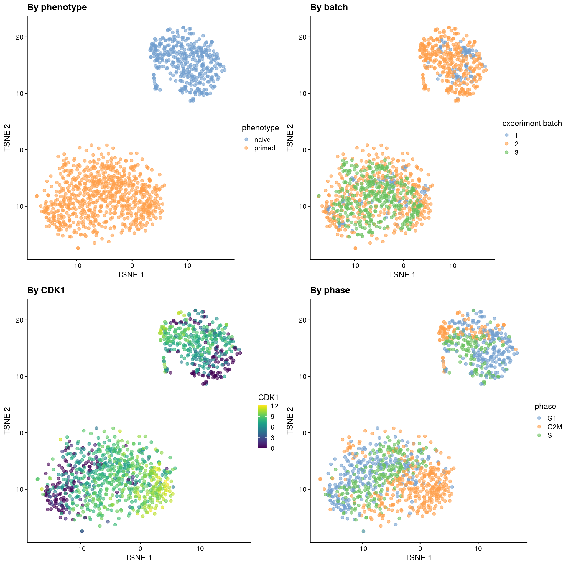 Obligatory $t$-SNE plots of the Messmer hESC dataset, where each point is a cell and is colored by various attributes.