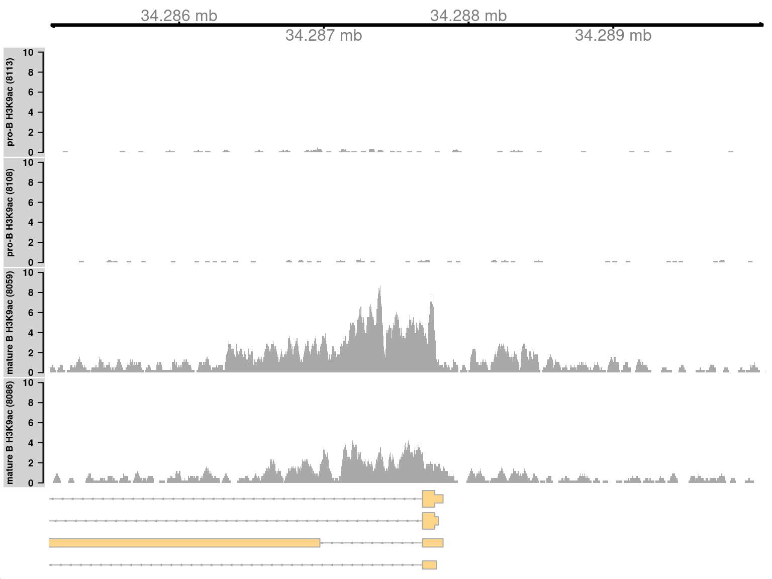 Coverage tracks for a simple DB event between pro-B and mature B cells, across a broad region in the H3K9ac data set. Read coverage for each sample is shown as a per-million value at each base.