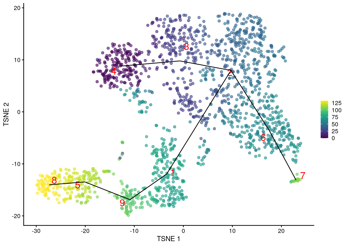 $t$-SNE plot of the Nestorowa HSC dataset, where each point is a cell and is colored according to its pseudotime value. The MST obtained using _TSCAN_ with MNN distances is overlaid on top.