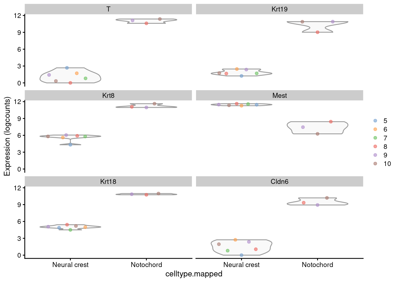 Distribution of the log-expression values for the top DEGs between the neural crest and notochord. Each point represents a pseudo-bulk profile and is colored by the sample of origin.