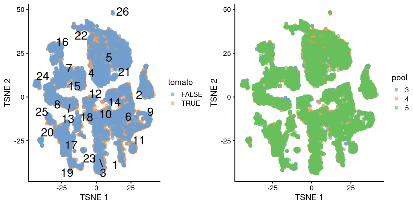 $t$-SNE plot of the WT chimeric dataset, where each point represents a cell and is colored according to td-Tomato expression (left) or batch of origin (right). Cluster numbers are superimposed based on the median coordinate of cells assigned to that cluster.