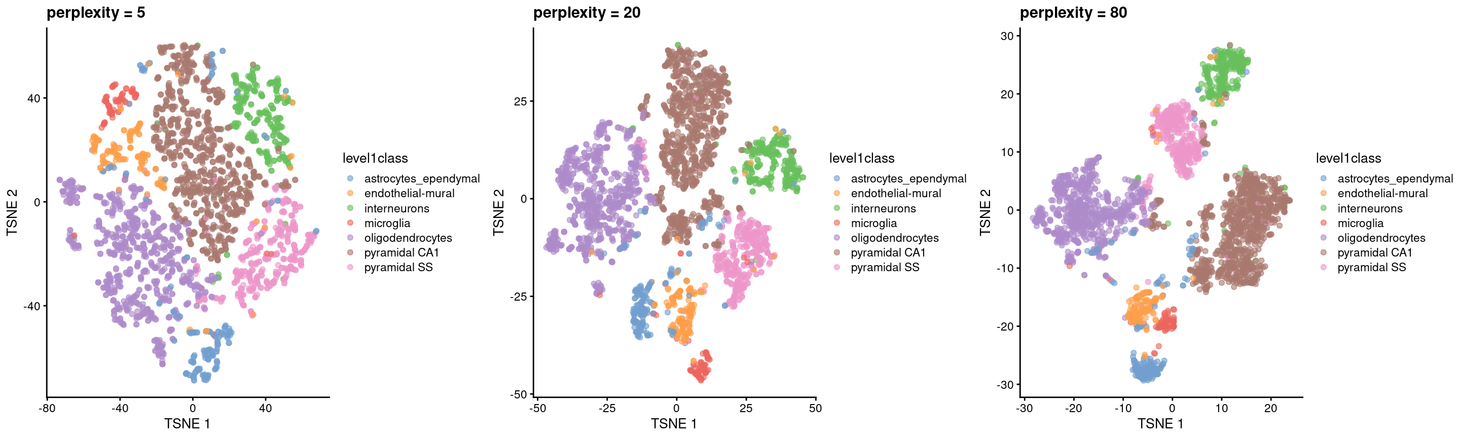 $t$-SNE plots constructed from the top PCs in the Zeisel brain dataset, using a range of perplexity values. Each point represents a cell, coloured according to its annotation.