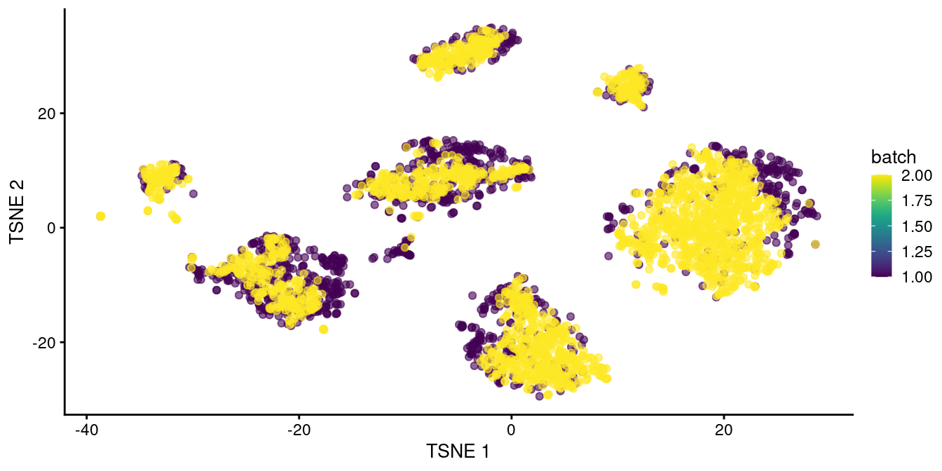 $t$-SNE plot of the two pancreas datasets after correction with `fastMNN()`. Each point represents a cell and is colored according to the batch of origin.