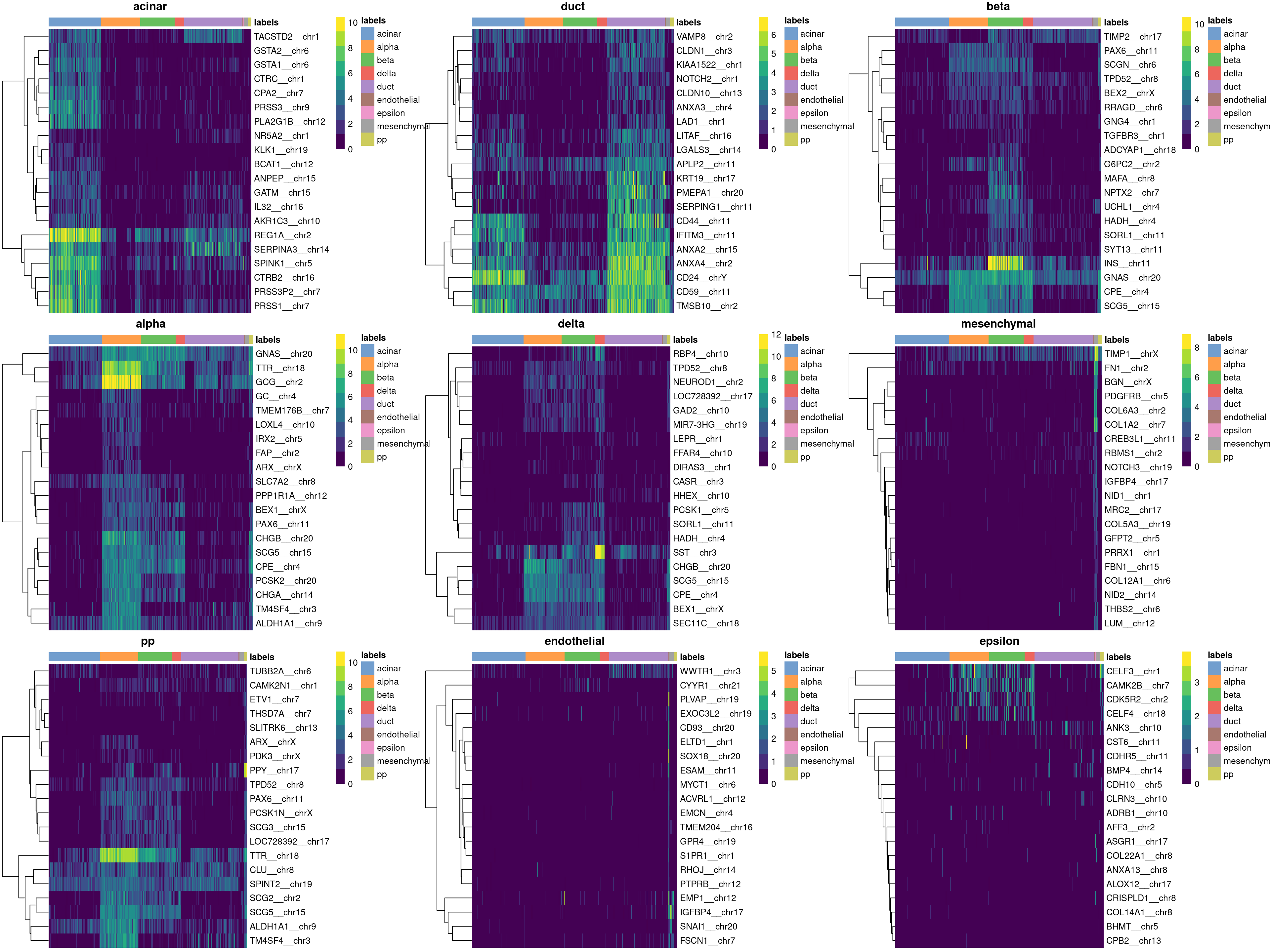 Heatmaps of log-expression values in the Grun dataset for all marker genes upregulated in each label in the Muraro reference dataset. Assigned labels for each cell are shown at the top of each plot.