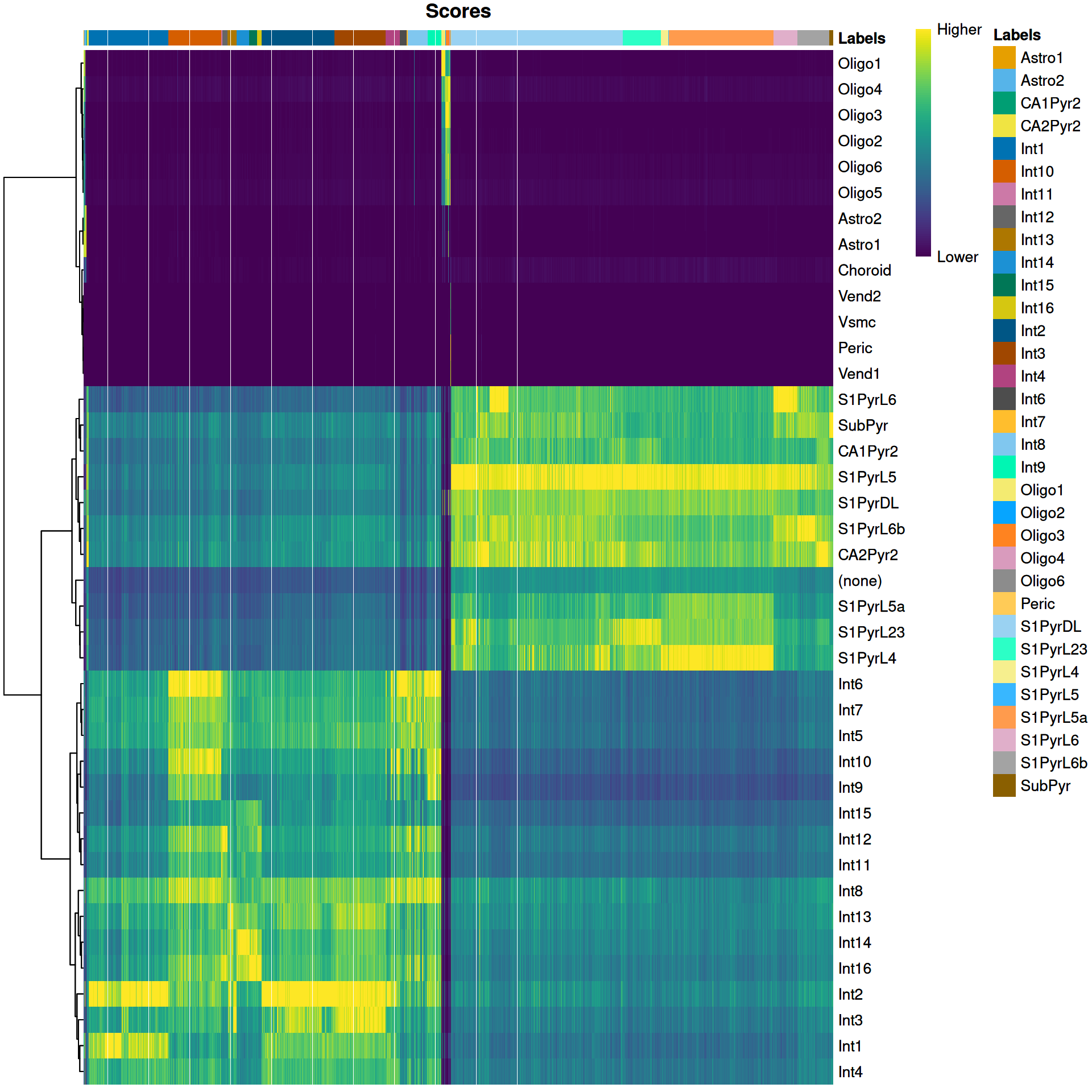 Heatmap of the (normalized) assignment scores for each cell (column) in the Tasic test dataset with respect to each label (row) in the Zeisel reference dataset. The final assignment for each cell is shown in the annotation bar at the top.