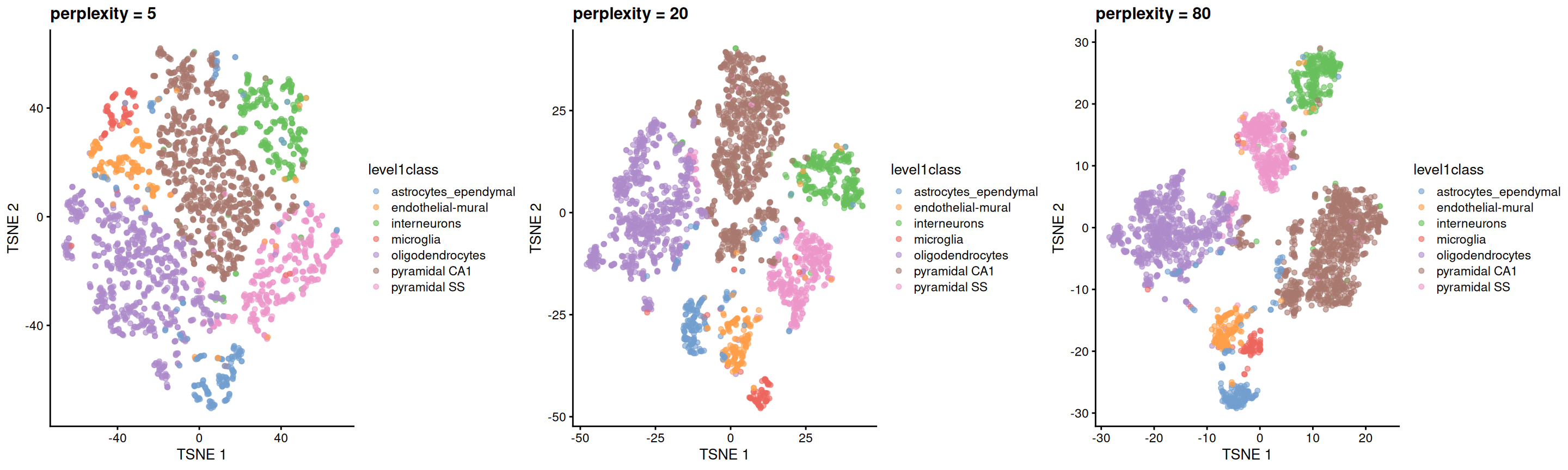 $t$-SNE plots constructed from the top PCs in the Zeisel brain dataset, using a range of perplexity values. Each point represents a cell, coloured according to its annotation.