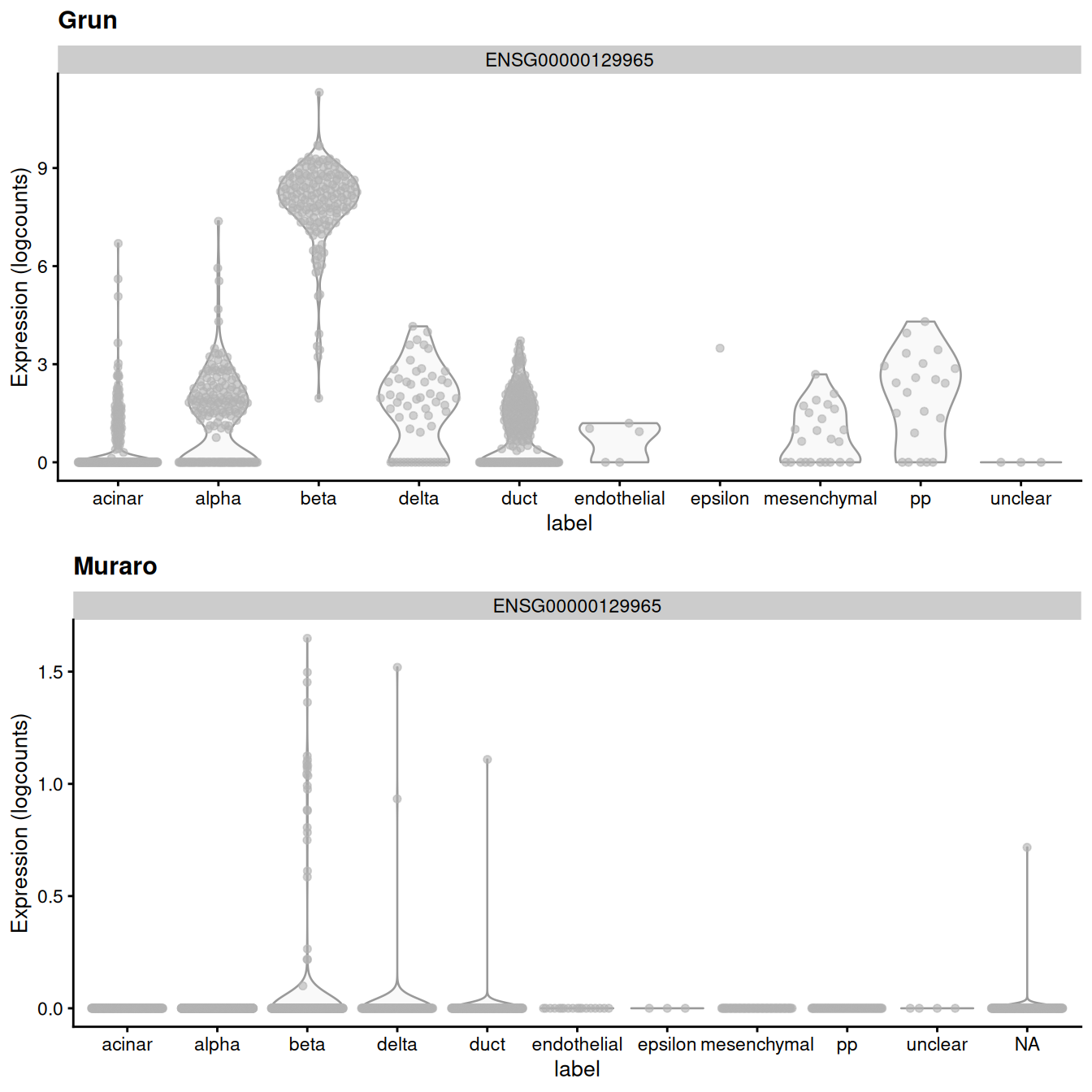 Distribution of uncorrected expression values for _INS-IGF2_ across the cell types in the Grun and Muraro pancreas datasets.