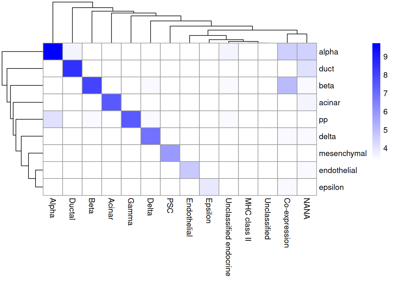 Heatmap of the confusion matrix between the predicted labels (rows) and the independently defined labels (columns) in the Segerstolpe dataset. The color is proportinal to the log-transformed number of cells with a given combination of labels from each set.