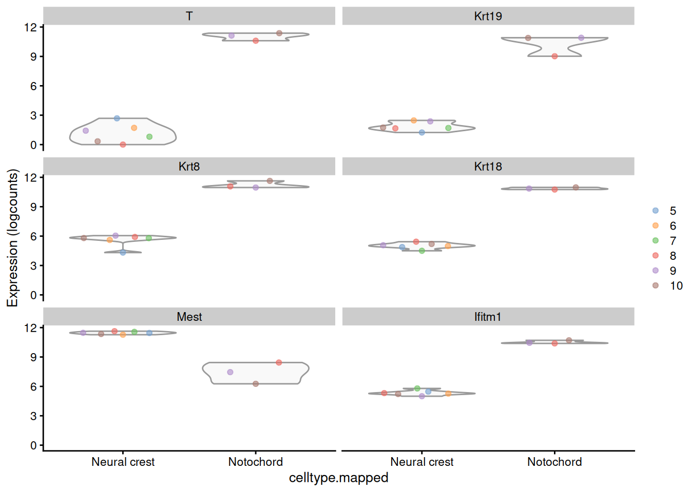 Distribution of the log-expression values for the top DEGs between the neural crest and notochord. Each point represents a pseudo-bulk profile and is colored by the sample of origin.