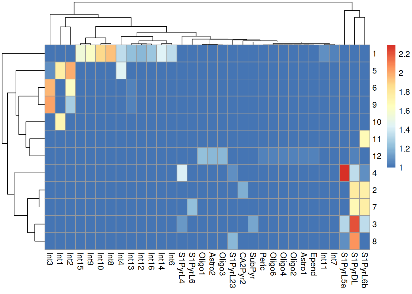 Heatmap of the log-transformed number of cells in each combination of label (column) and cluster (row) in the Tasic dataset.