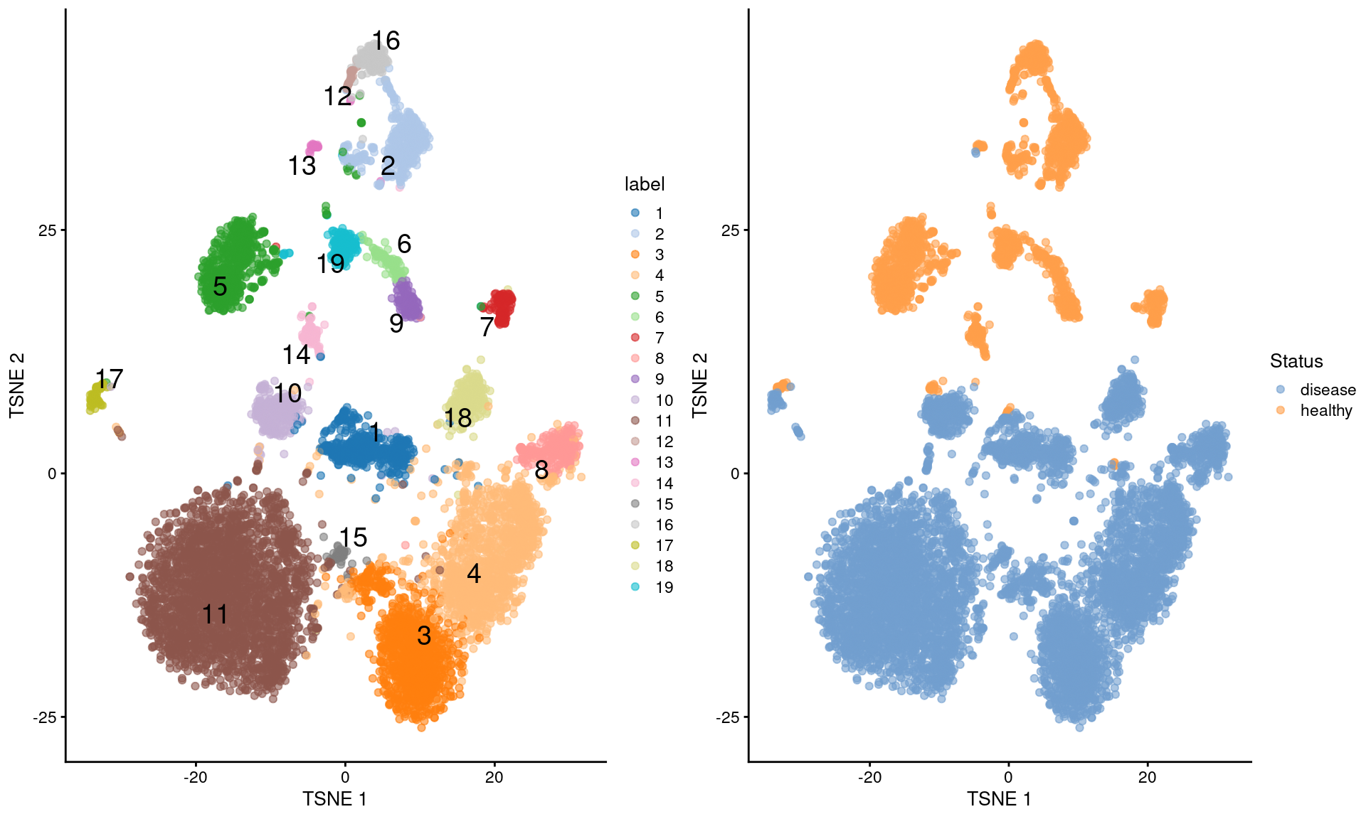 $t$-SNE plots of the Wu kidney dataset. Each point is a cell and is colored by its cluster assignment (left) or its disease status (right).