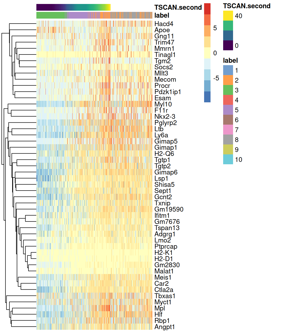 Heatmap of the expression of the top 50 genes that increase in expression with increasing pseudotime along the second path in the MST of the Nestorowa HSC dataset. Each column represents a cell that is mapped to this path and is ordered by its pseudotime value.