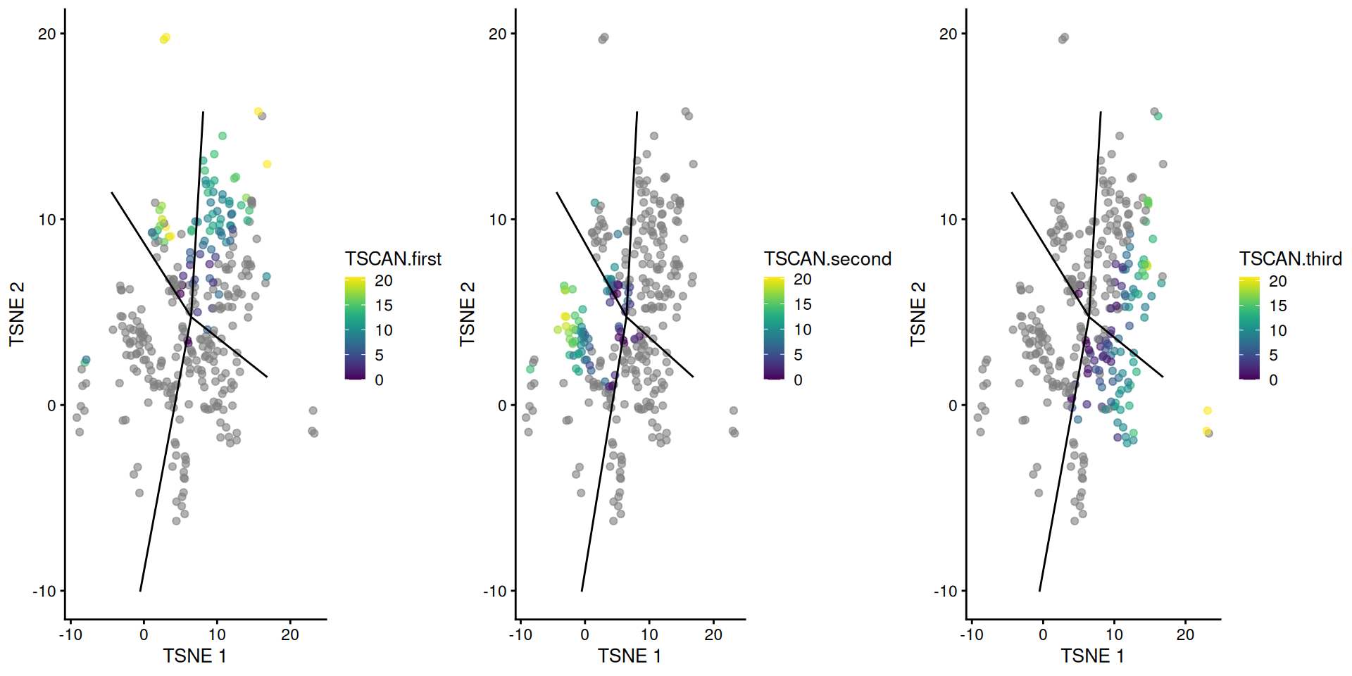 _TSCAN_-derived pseudotimes around cluster 2 in the Nestorowa HSC dataset. Each point is a cell in this cluster and is colored by its pseudotime value along the path to which it was assigned. The overlaid lines represent the relevant edges of the MST.