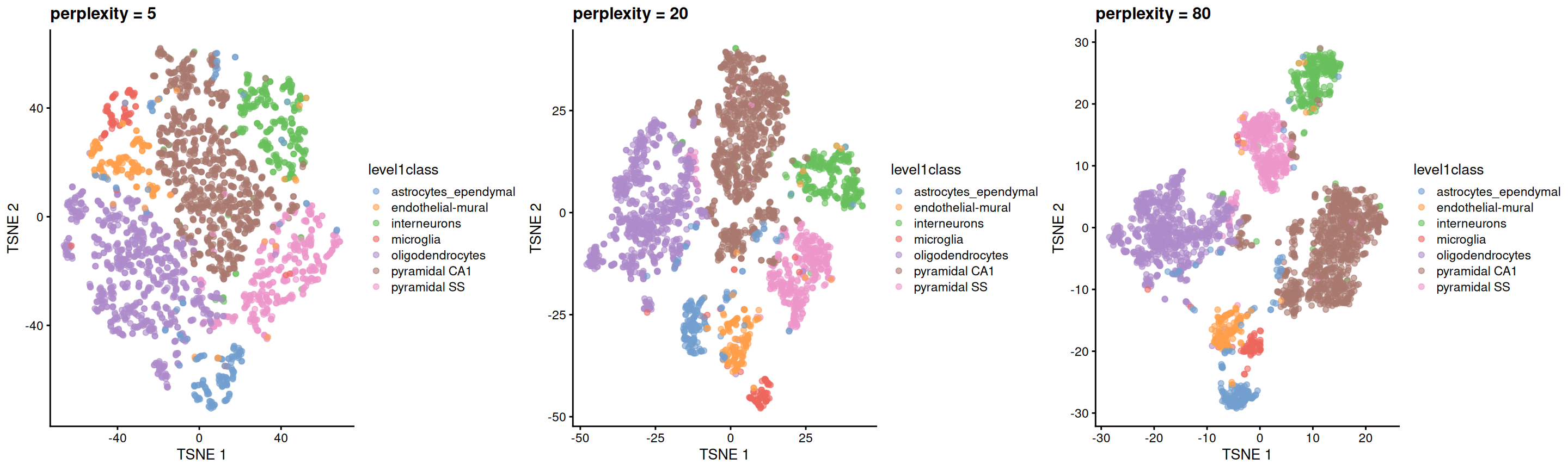 $t$-SNE plots constructed from the top PCs in the Zeisel brain dataset, using a range of perplexity values. Each point represents a cell, coloured according to its annotation.