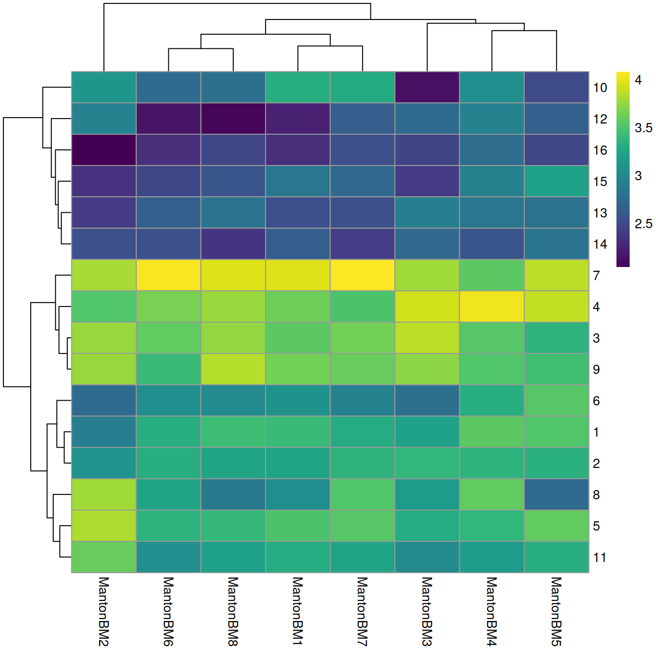 Heatmap of log~10~-number of cells in each cluster (row) from each sample (column).