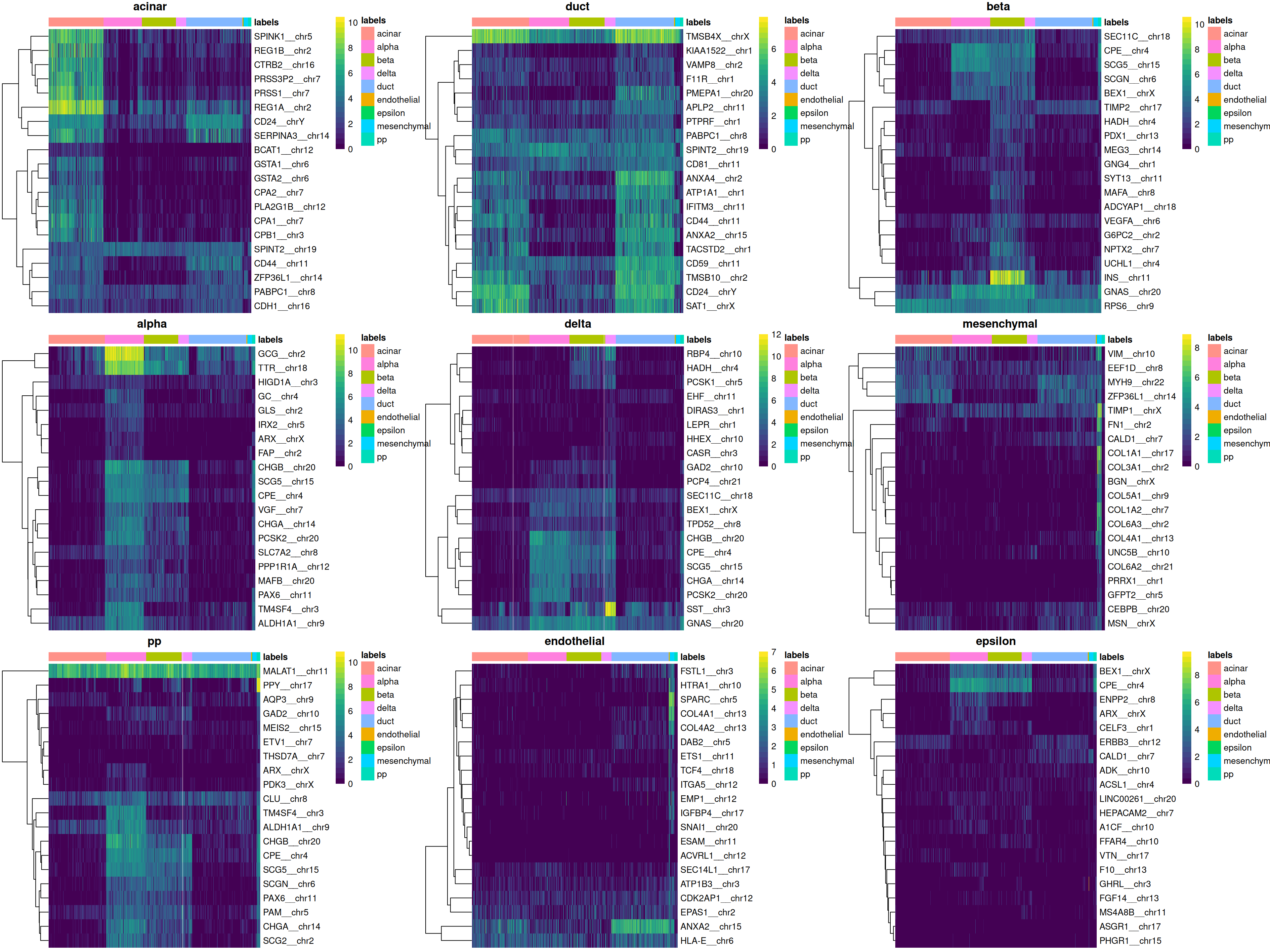 Heatmaps of log-expression values in the Grun dataset for all marker genes upregulated in each label in the Muraro reference dataset. Assigned labels for each cell are shown at the top of each plot.