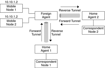 Illustrates the network topology of two privately addressed mobile nodes that reside on different foreign networks.