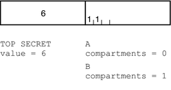 Illustration shows the classification and compartment sections of the TS labels.